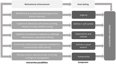 Component Model of Addiction Treatment: A Pragmatic Transdiagnostic Treatment Model of Behavioral and Substance Addictions